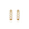 Cuban Link Earrings