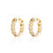 Cuban Link Earrings